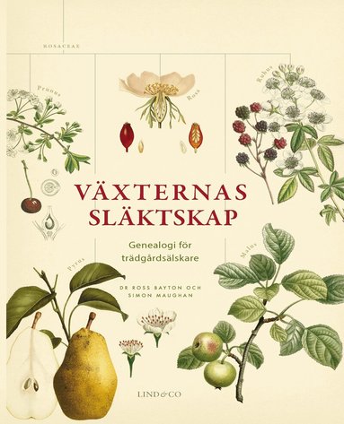 Ross Bayton, Simon Maughan - Växternas släktskap : genealogi för trädgårdsälskare, Inbunden