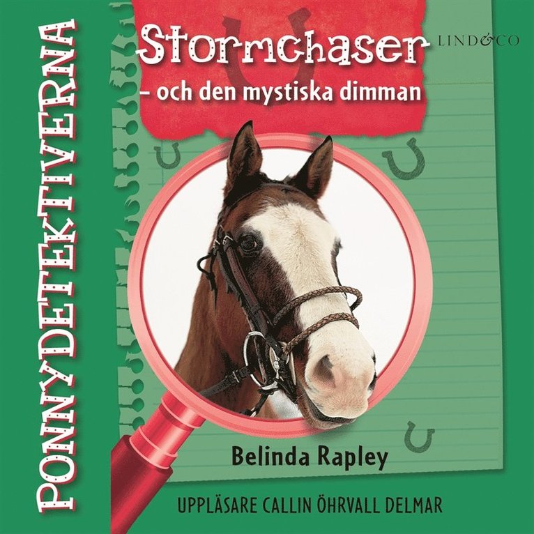 Belinda Rapley - Ponnydetektiverna. Stormchaser - och den mystiska dimman, Ljudbok