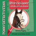 Ponnydetektiverna. Stormchaser - och den mystiska dimman