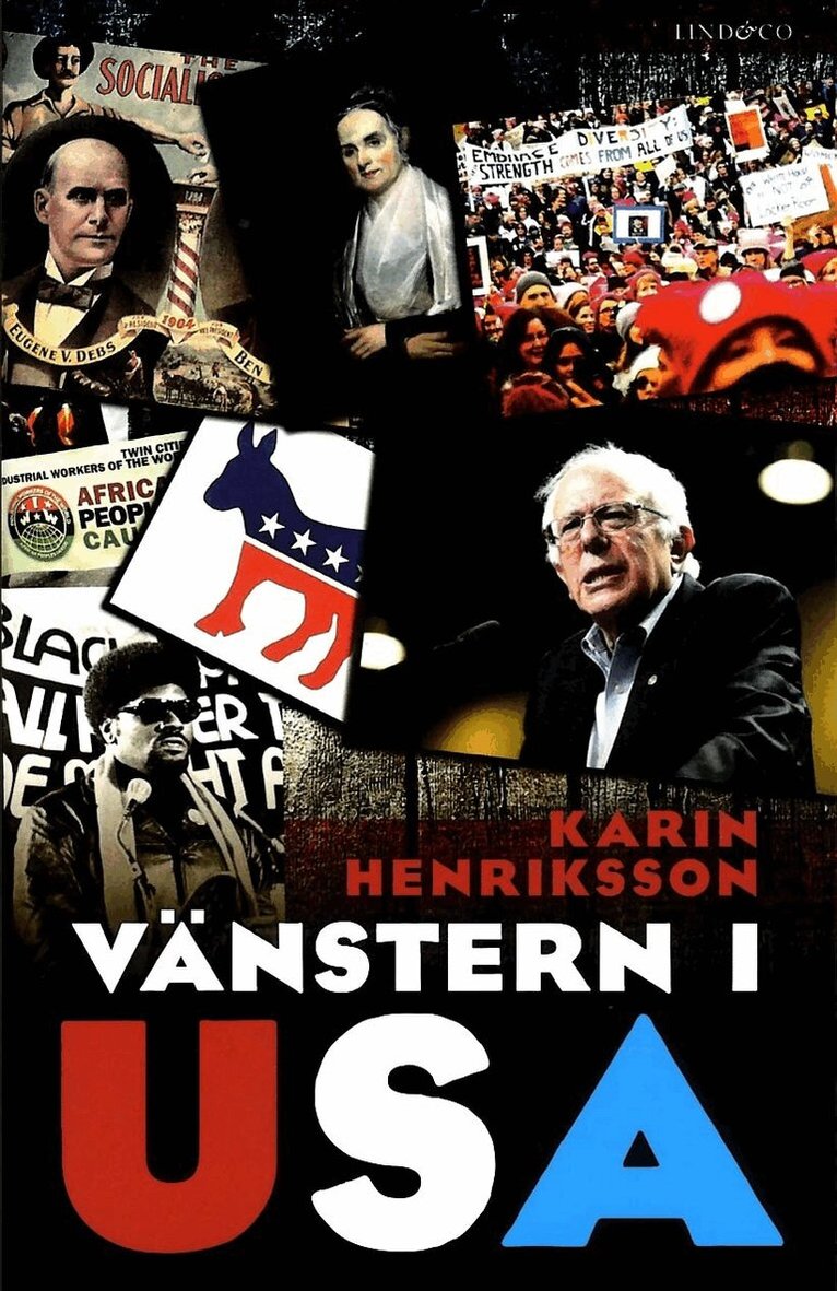 Karin Henriksson - Vänstern i USA, Inbunden