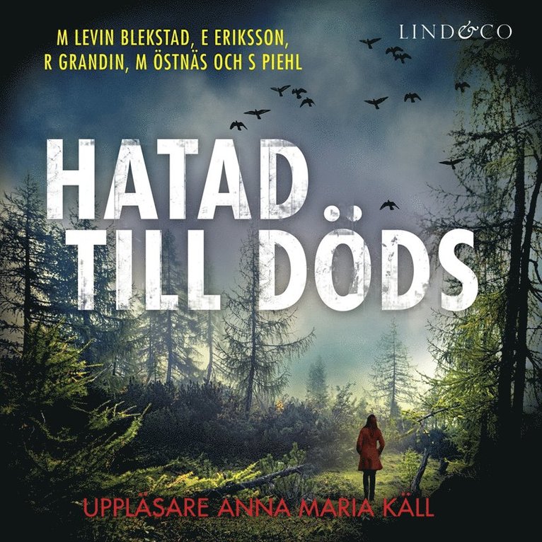 Erik Eriksson, Margaretha Levin Blekastad, Magnus Östnäs, Richard Grandin, Sofi Piehl - Hatad till döds, Ljudbok