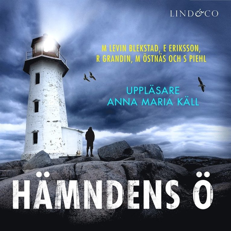 Erik Eriksson, Margaretha Levin Blekastad, Magnus Östnäs, Richard Grandin, Sofi Piehl - Hämndens ö, Ljudbok