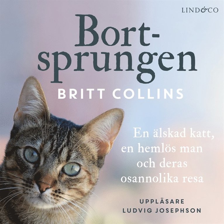 Britt Collins - Bortsprungen : en älskad katt, en hemlös man och deras osannolika resa, Ljudbok