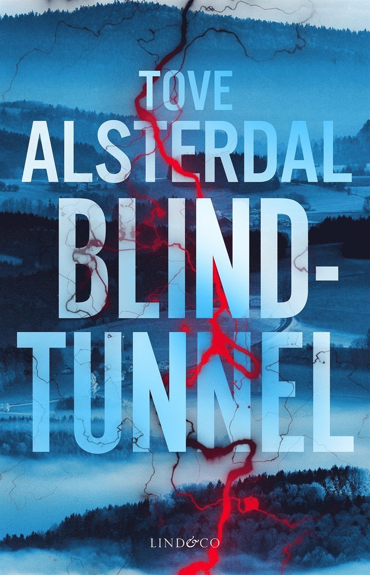 Tove Alsterdal - Blindtunnel, E-bok