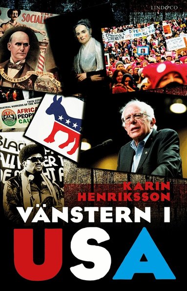 Karin Henriksson - Vänstern i USA, E-bok