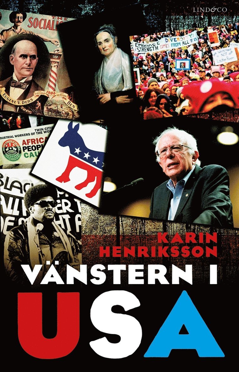 Karin Henriksson - Vänstern i USA, E-bok