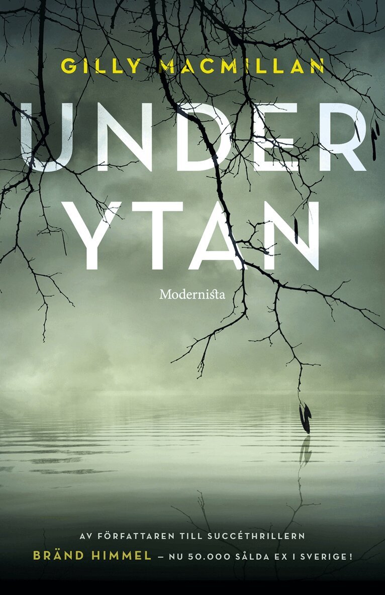 Gilly Macmillan - Under ytan, E-bok