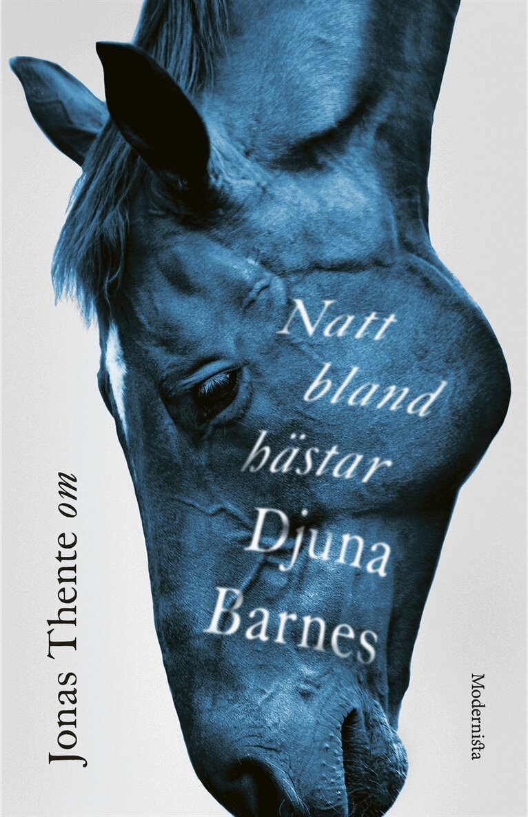 Jonas Thente - Om Natt bland hästar av Djuna Barnes, E-bok