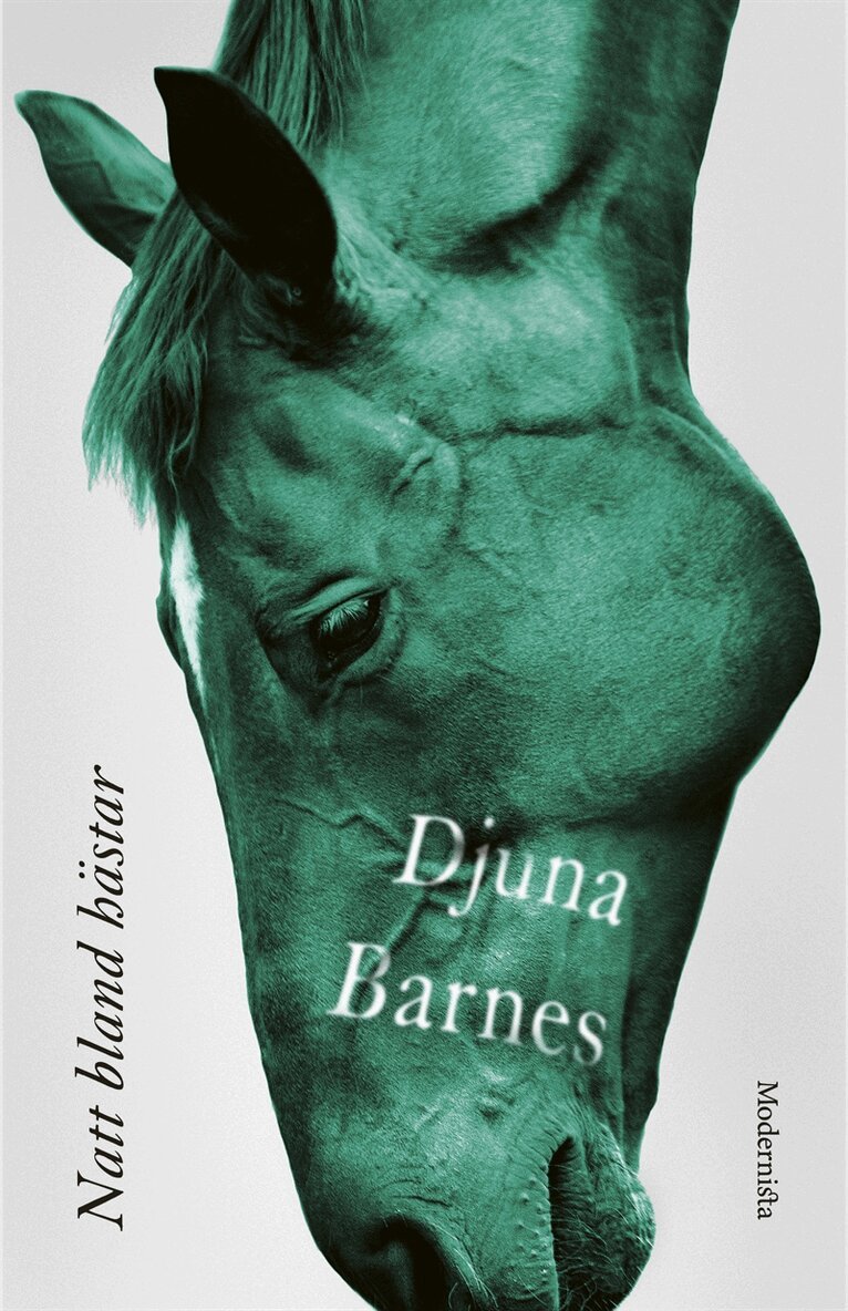 Djuna Barnes - Natt bland hästar, E-bok