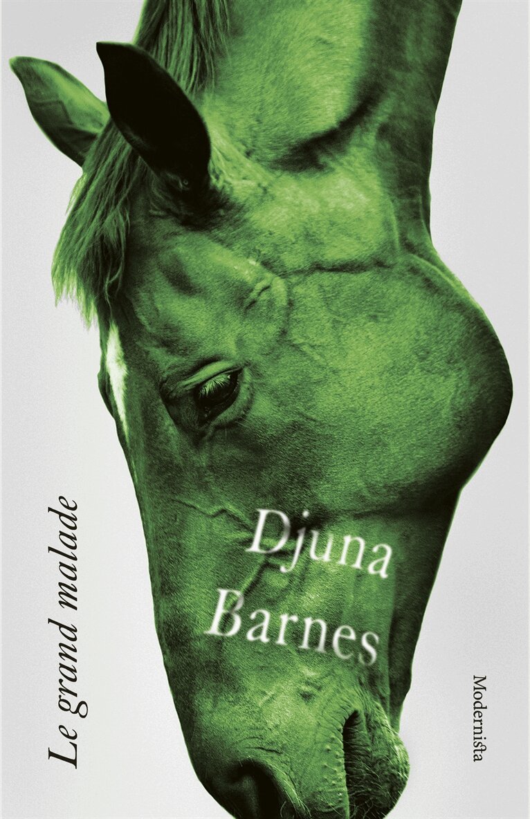 Djuna Barnes - Le grand malade, E-bok
