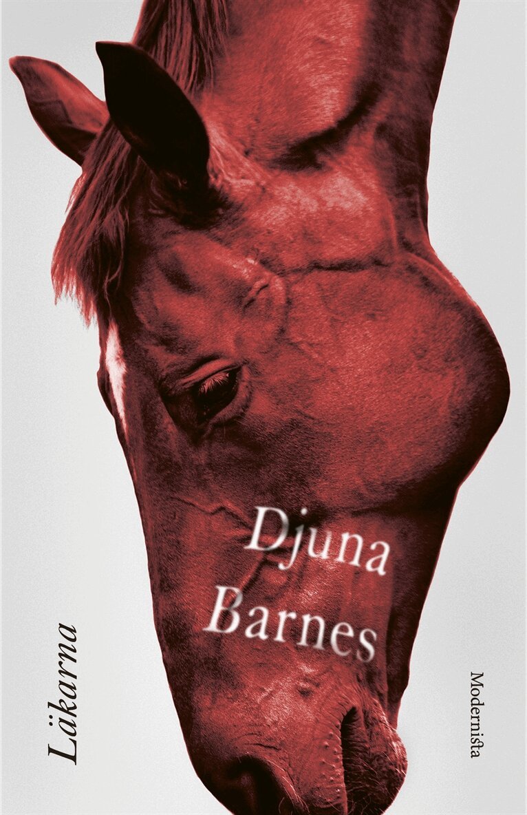 Djuna Barnes - Läkarna, E-bok