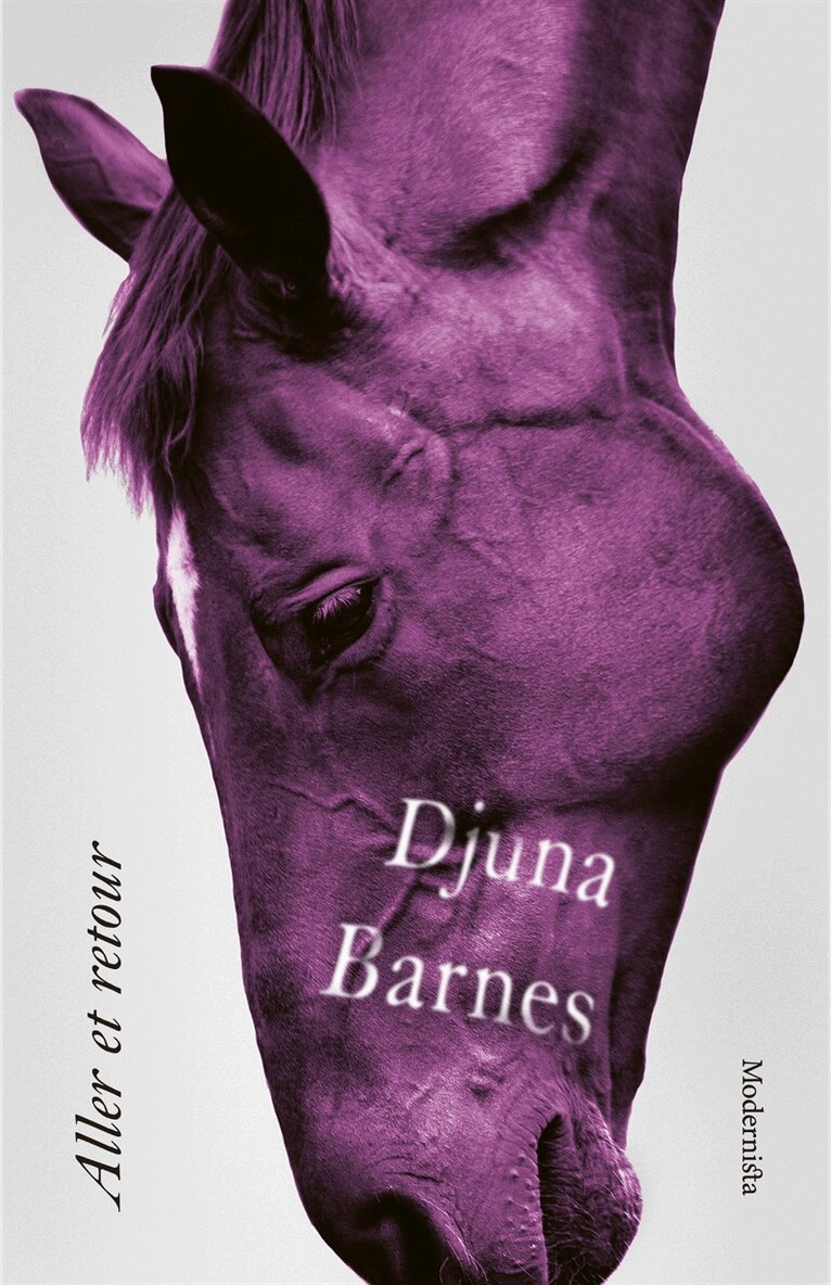 Djuna Barnes - Aller et retour, E-bok