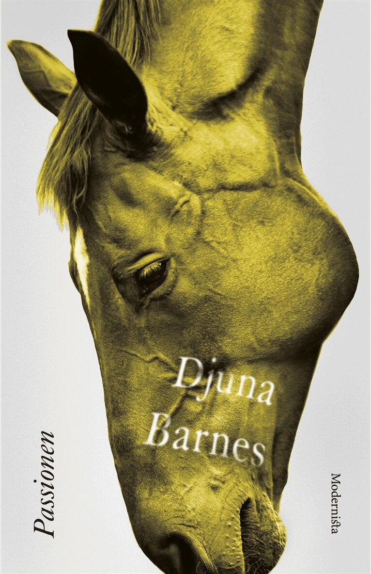 Djuna Barnes - Passionen, E-bok