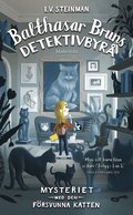 Mysteriet med den försvunna katten