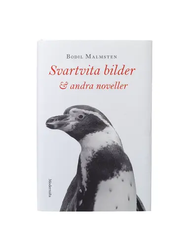 Bodil Malmsten - Svartvita bilder & andra noveller, Inbunden