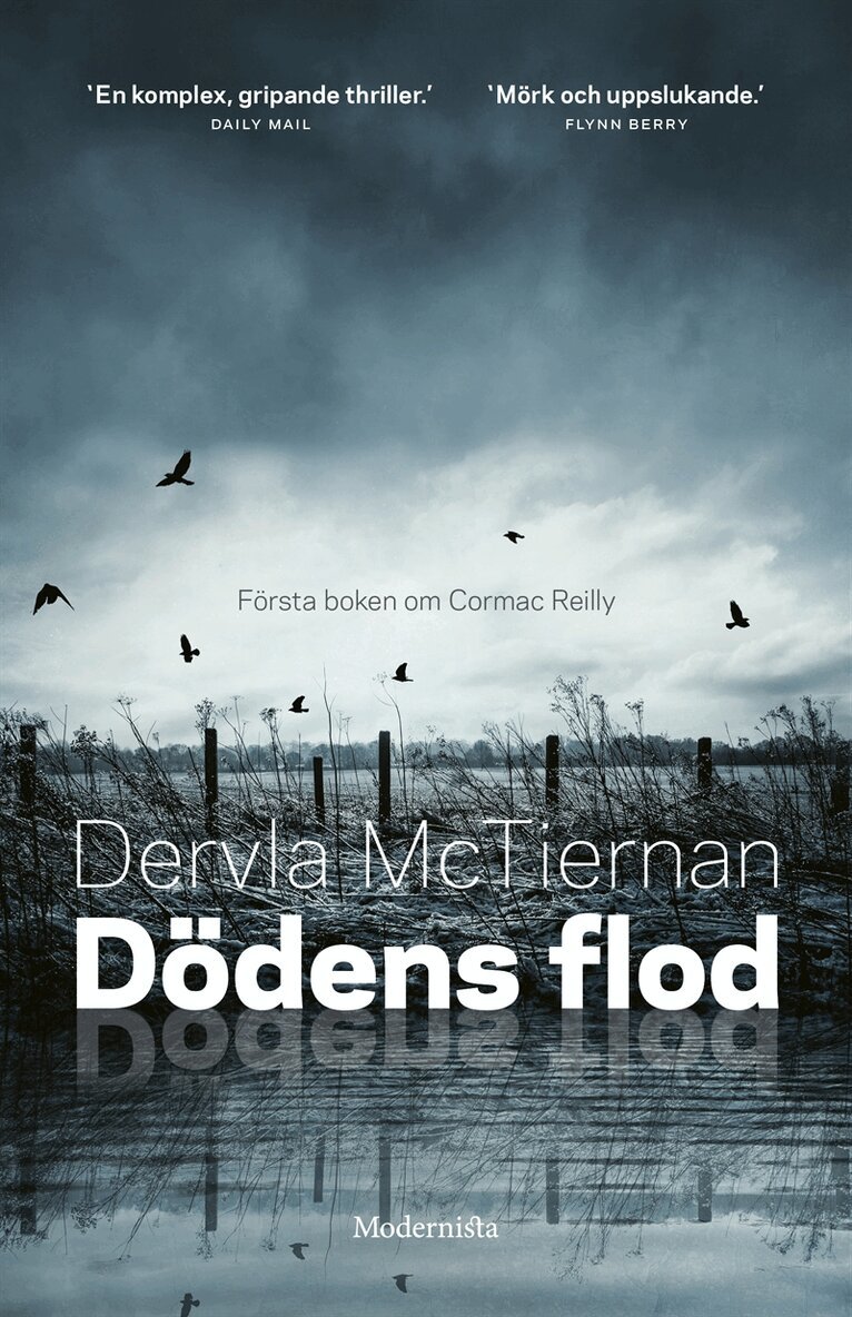 Dervla McTiernan - Dödens flod (Cormac Reilly, del 1), E-bok