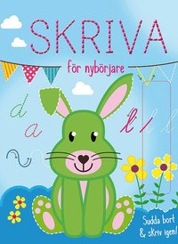 e-Bok Skriva för nybörjare