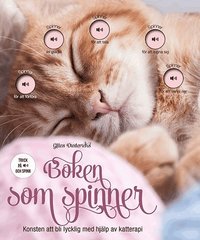 e-Bok Boken som spinner