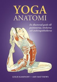 Yoga: anatomi