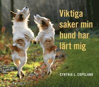 e-Bok Viktiga saker min hund har lärt mig <br />                        E bok