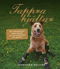 e-Bok Tappra hjältar <br />                        E bok