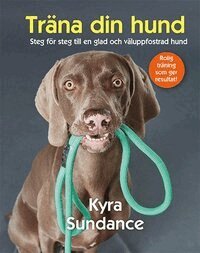 Kyra Sundance - Träna din hund : steg för steg till en glad och väluppfostrad hund, E-bok