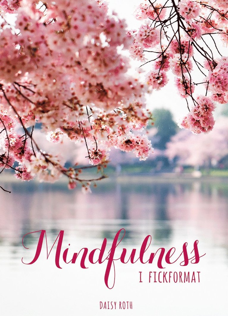 Daisy Roth - Mindfulness i fickformat, Inbunden