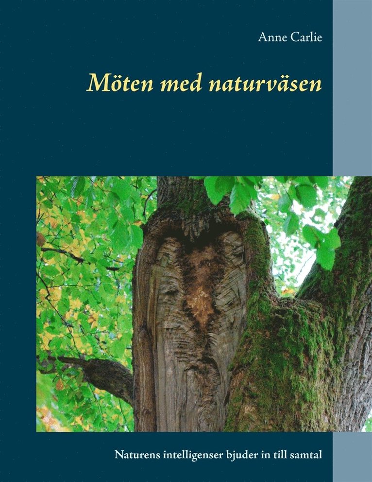 Anne Carlie - Möten med naturväsen: Naturens intelligenser bjuder in till samtal, E-bok
