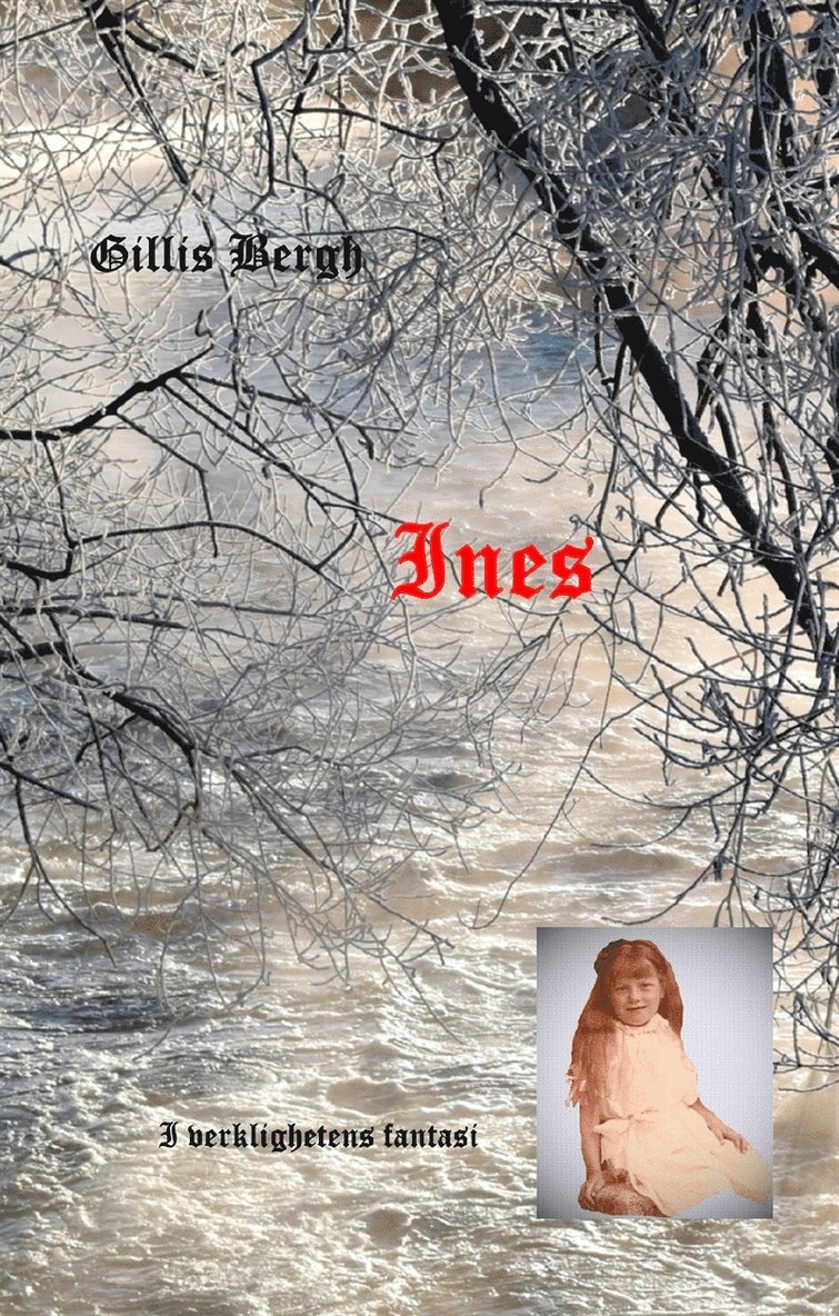 Gillis Bergh - Ines: I verklighetens fantasi, E-bok
