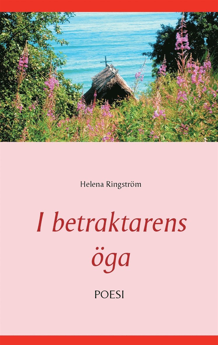 Helena Ringström - I betraktarens öga, E-bok