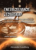 Energidrivande ledarskap : att leda och driva utveckling i komplexa frndringsmiljer