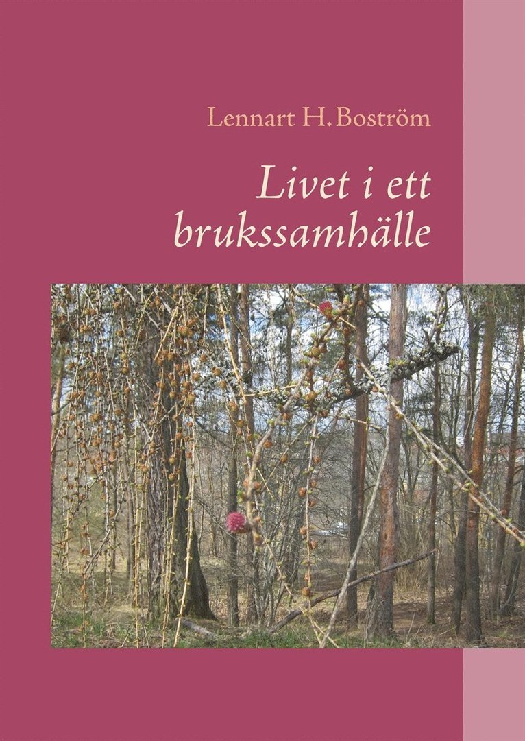 Lennart H. Boström - Livet i ett brukssamhälle, E-bok