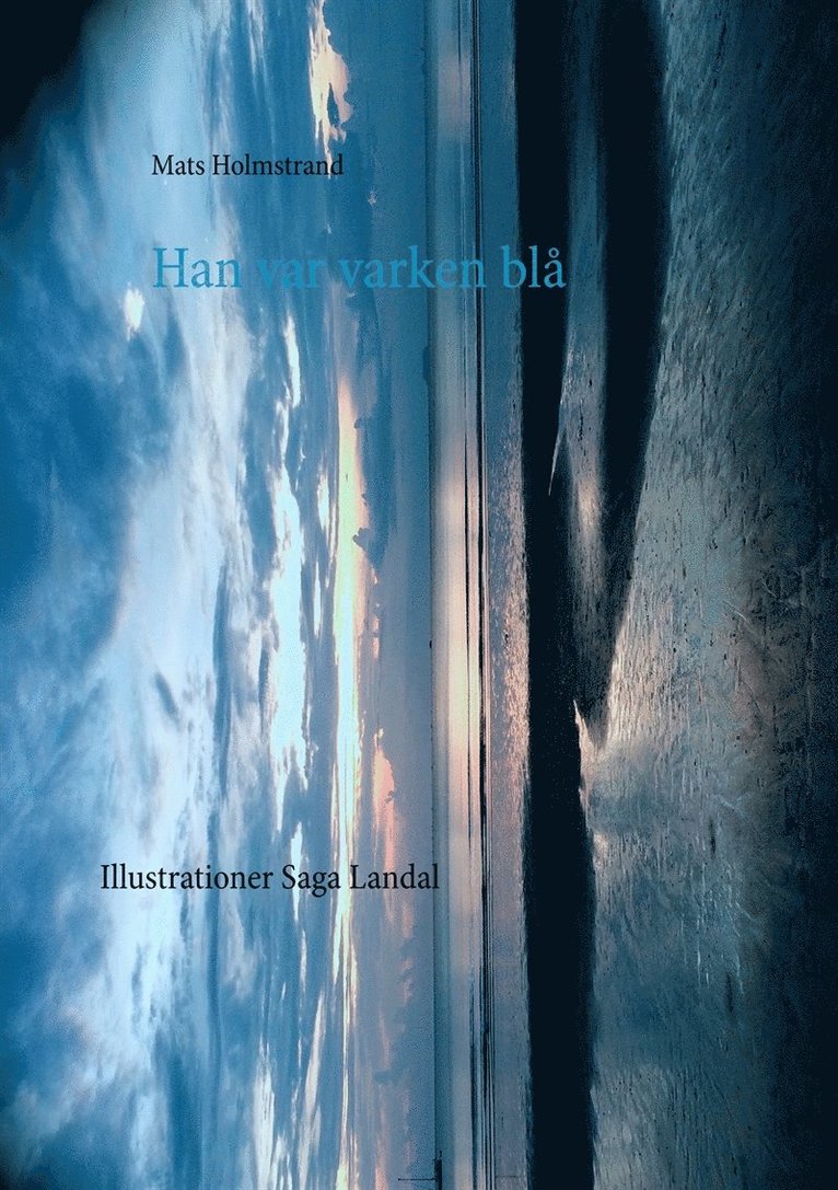 Mats Holmstrand - Han var varken blå: Mannen som hängde i slussen, E-bok