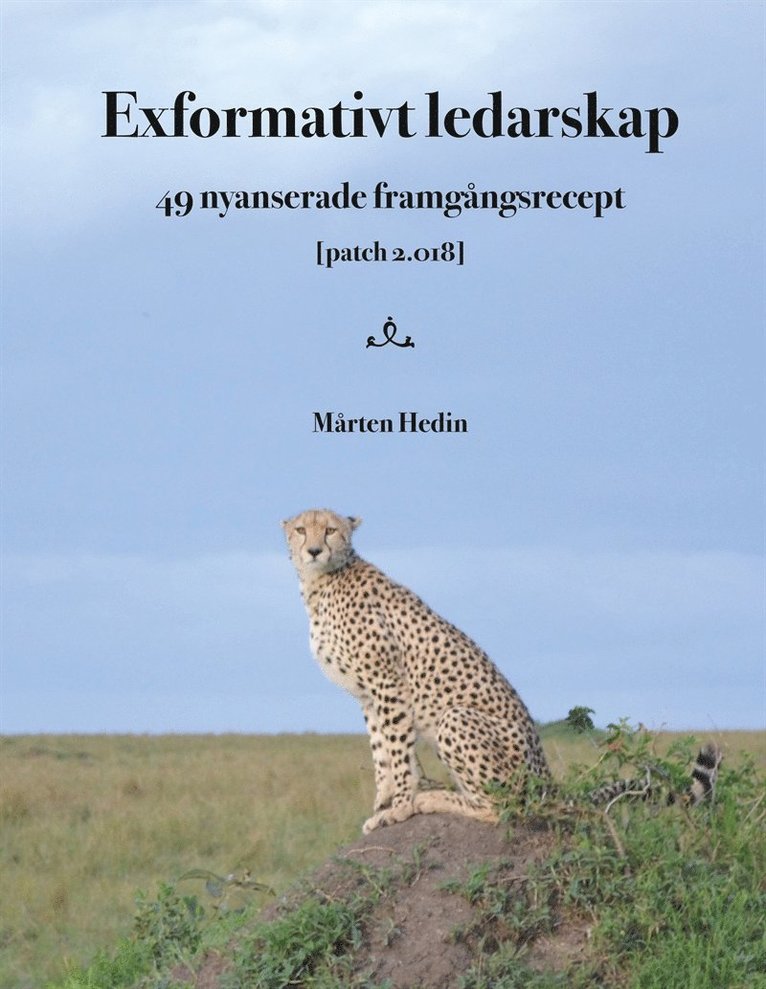 Mårten Hedin - Exformativt ledarskap: 49 nyanserade framgångsrecept, E-bok