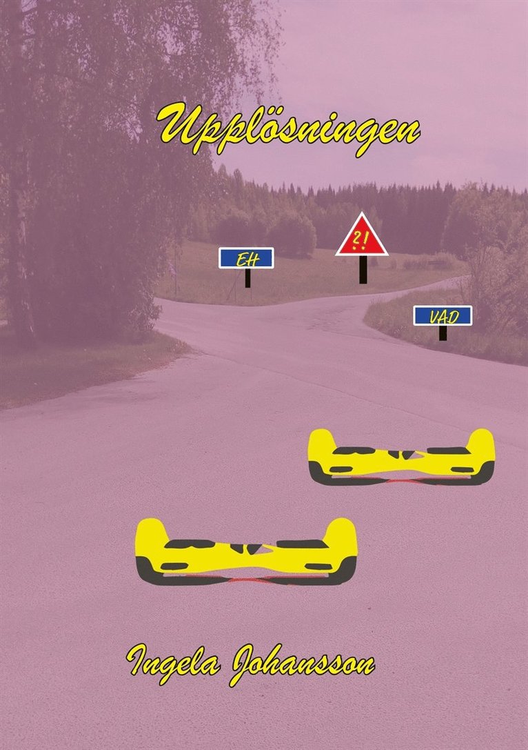 Ingela Johansson - Upplösning, E-bok