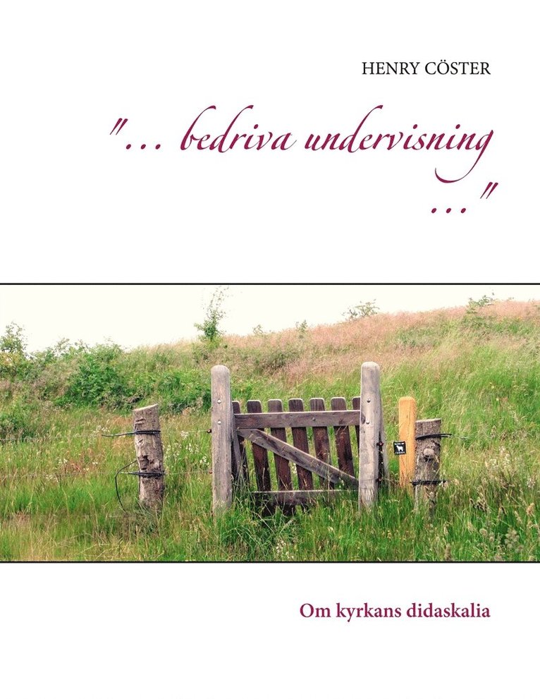 Henry Cöster - "... bedriva undervisning ...": Om kyrkans didaskalia, E-bok