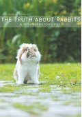 The truth about rabbits : a misunderstood pet