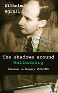 The shadows around Wallenberg