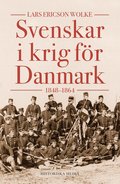 Svenskar i krig för Danmark :1848-1864