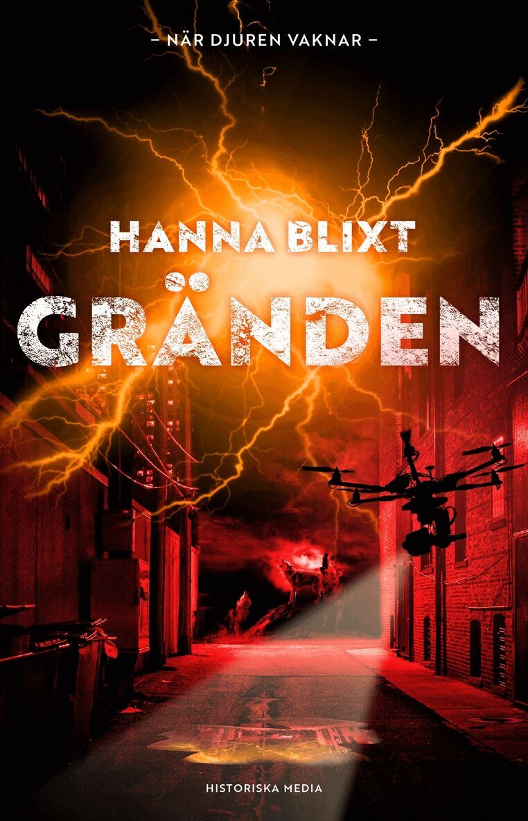 Hanna Blixt - Gränden, E-bok
