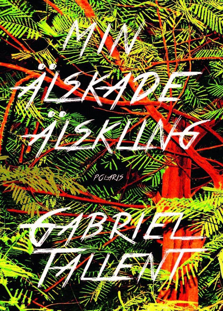 Gabriel Tallent - Min älskade älskling, E-bok