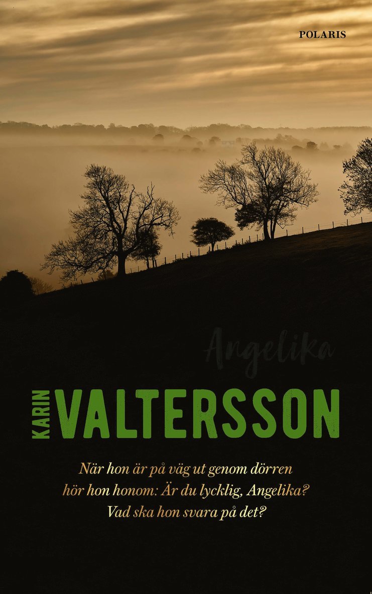 Karin Valtersson - Angelika, E-bok
