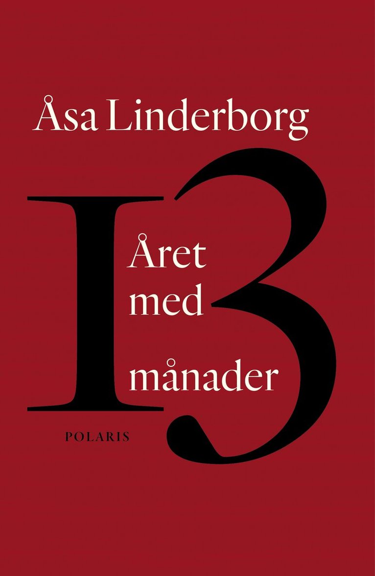 Åsa Linderborg - Året med 13 månader : en dagbok, E-bok