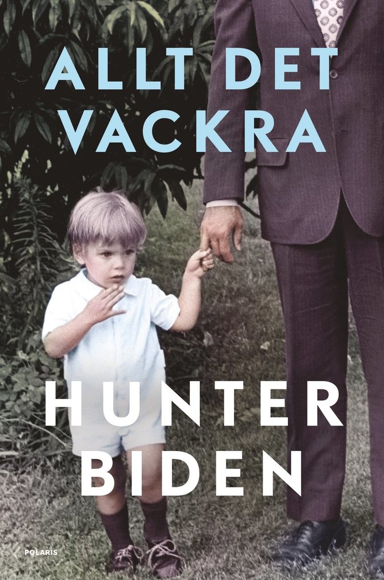 Hunter Biden - Allt det vackra, E-bok