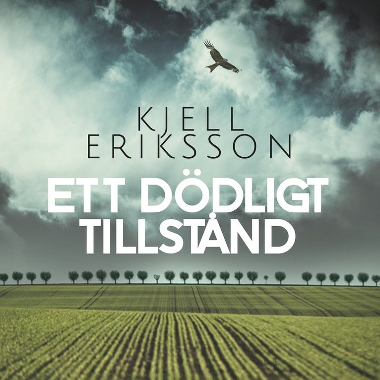 Kjell Eriksson - Ett dödligt tillstånd, Ljudbok