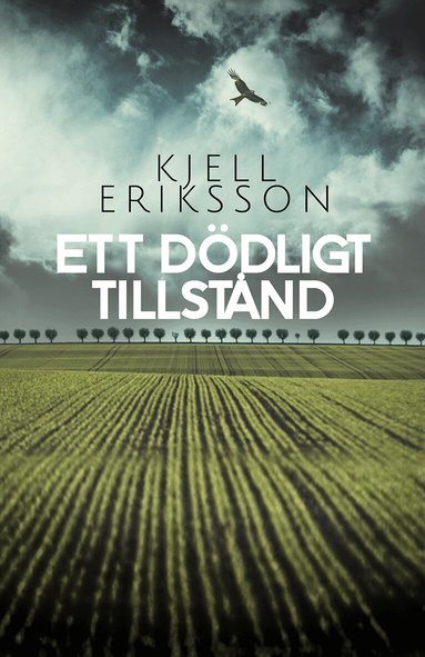 Kjell Eriksson - Ett dödligt tillstånd, E-bok