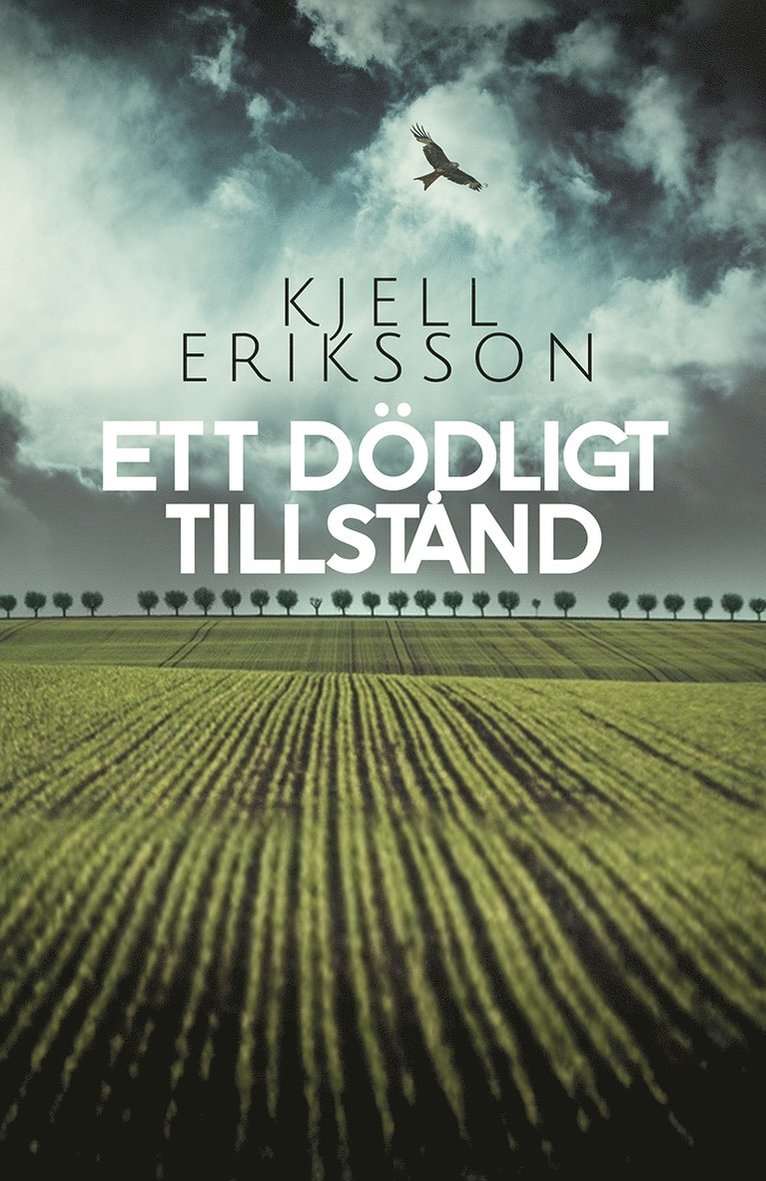 Kjell Eriksson - Ett dödligt tillstånd, E-bok