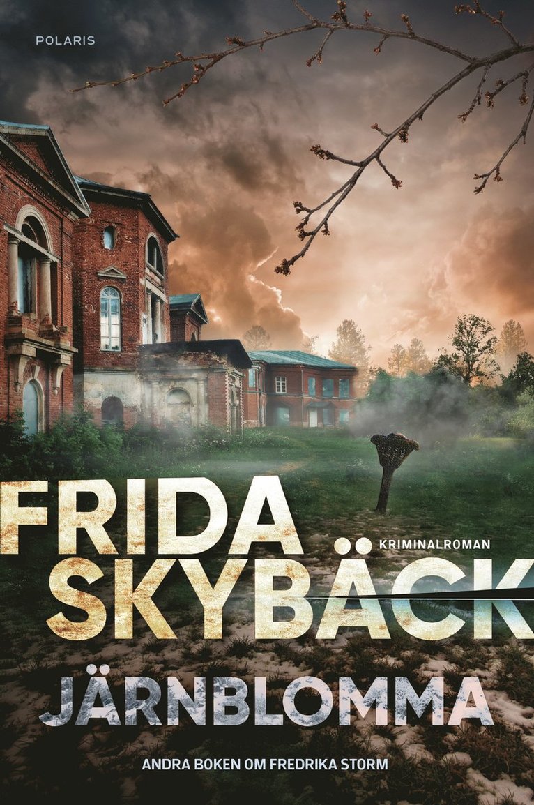 Frida Skybäck - Järnblomma, E-bok