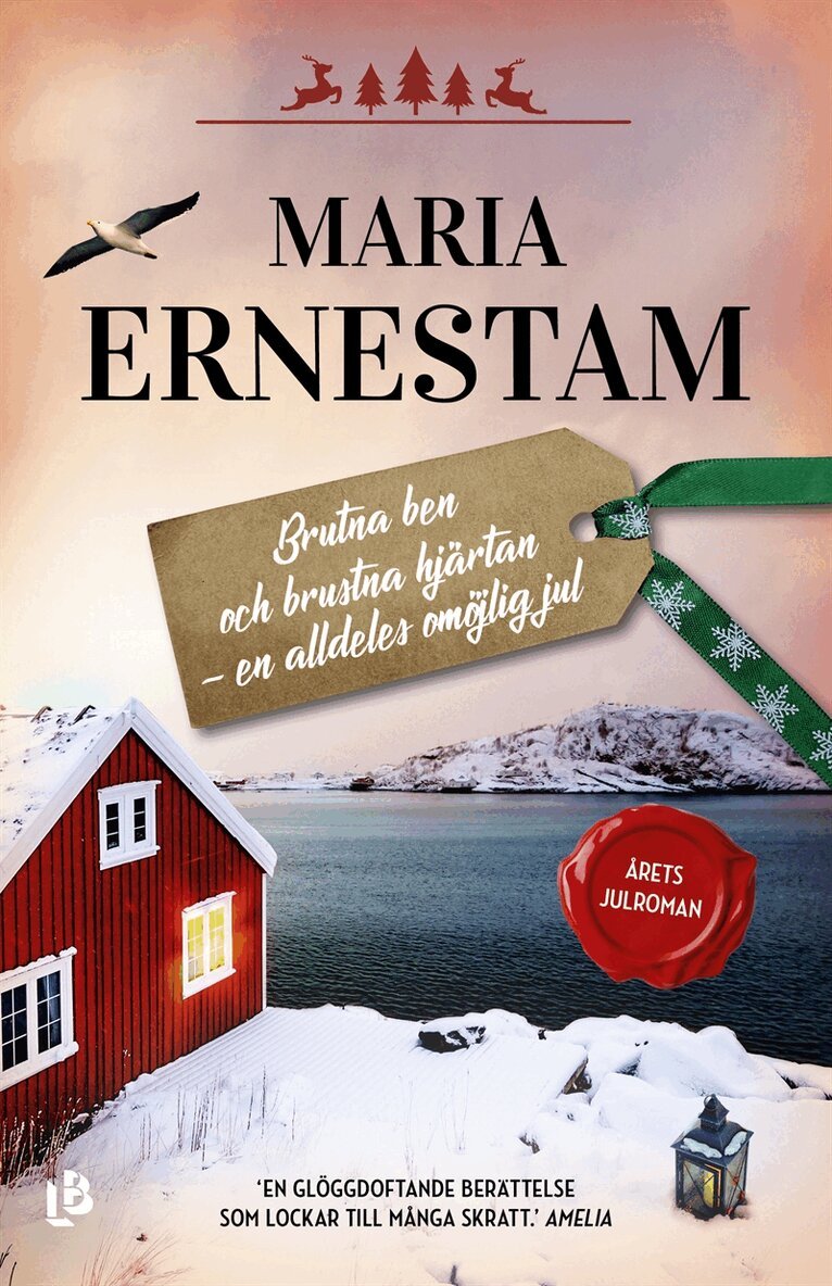Maria Ernestam - Brutna ben och brustna hjärtan – en alldeles omöjlig jul, E-bok