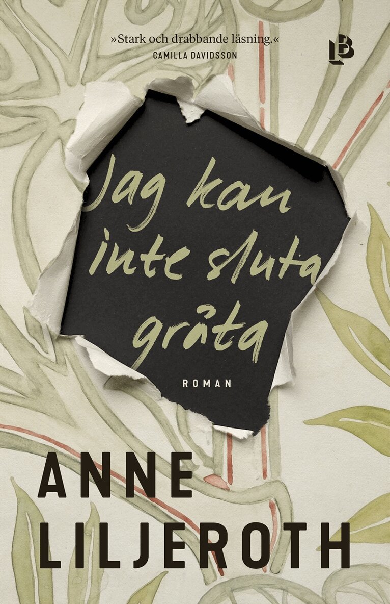 Anne Liljeroth - Jag kan inte sluta gråta, E-bok